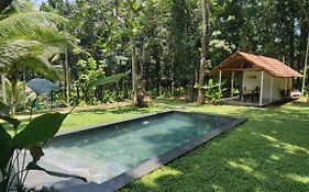 Pool Villa - The Humming Trees, Pala